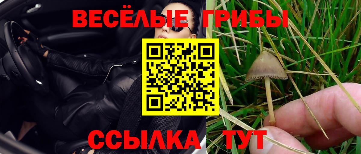 Оренбург  Галлюциногенные грибы Psilocybe  Вход с VPN 